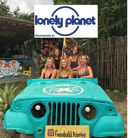 Freesoul Hostel Palomino Kültér fotó